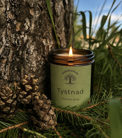 Tystnad